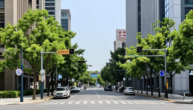 品牌策划如何在市场定位中精准把握趋势